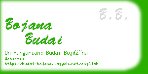 bojana budai business card